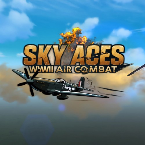 Sky Aces: WWII Air Combat PS4 (Индия)