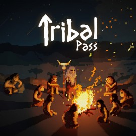 Tribal Pass PS4 (Индия)