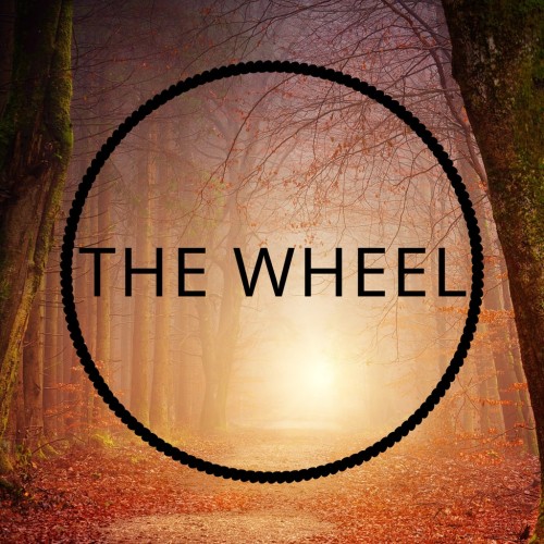 The Wheel PS4 (Индия)