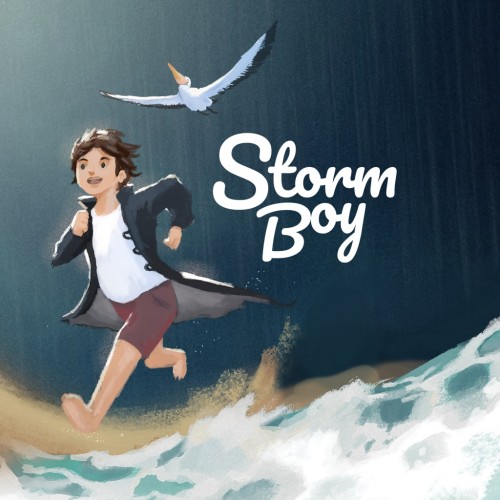 Storm Boy PS4 (Индия)