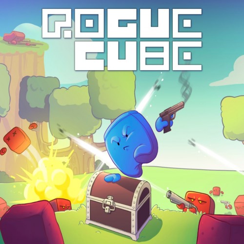 RogueCube PS4 (Индия)