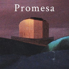 Promesa PS4 (Индия)