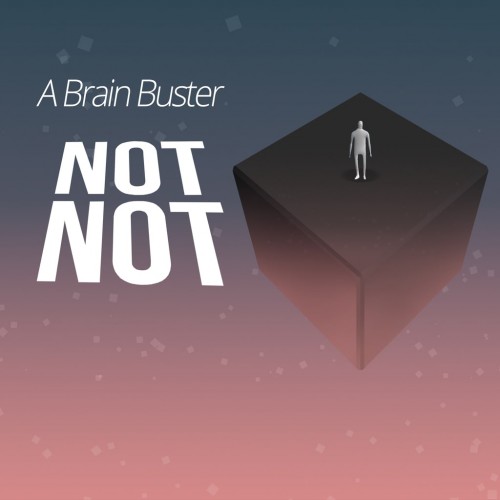 Not Not - A Brain Buster PS4 (Индия)