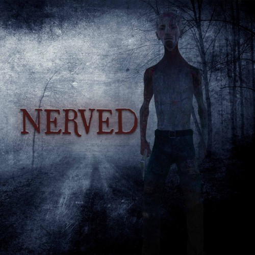 Nerved PS4 (Индия)