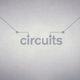 Circuits PS4 (Индия)