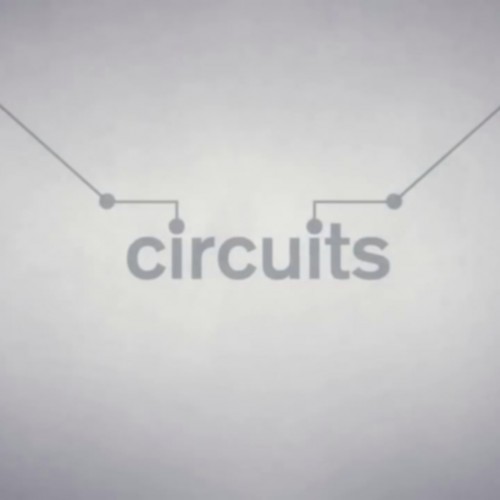 Circuits PS4 (Индия)