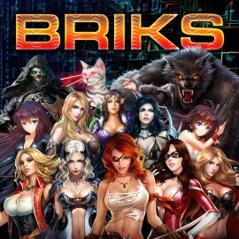 BRIKS PS4 (Индия)