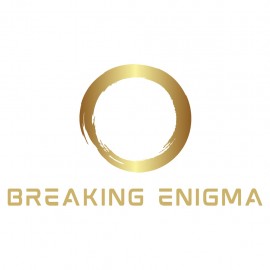 Breaking Enigma PS4 (Индия)