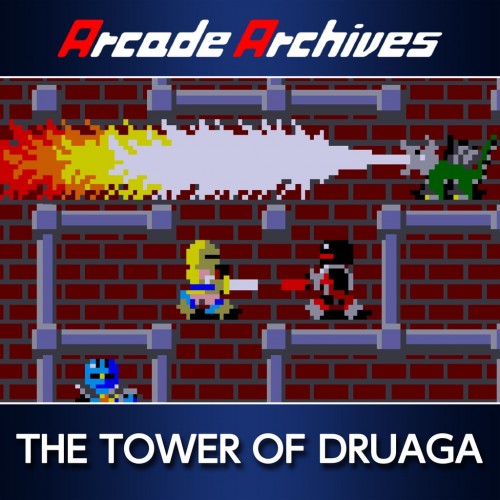 Arcade Archives THE TOWER OF DRUAGA PS4 (Индия)