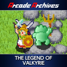 Arcade Archives THE LEGEND OF VALKYRIE PS4 (Индия)