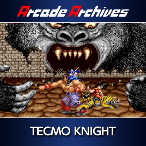 Arcade Archives TECMO KNIGHT PS4 (Индия)