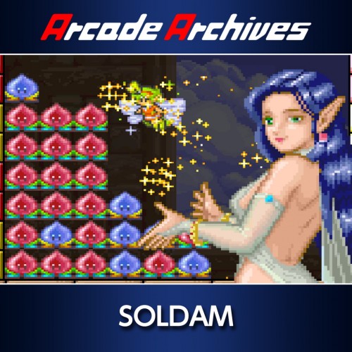 Arcade Archives SOLDAM PS4 (Индия)