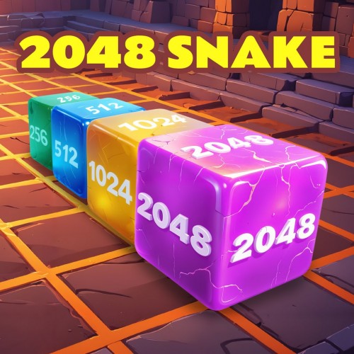 2048 Snake PS4 (Индия)