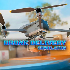 Drone Delivery Simulator PS4 (Индия)