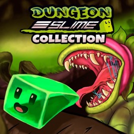 Dungeon Slime Collection PS4 & PS5 (Индия)