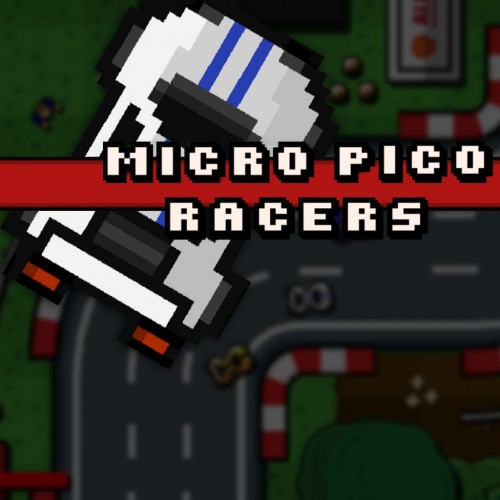 Micro Pico Racers PS4 & PS5 (Индия)