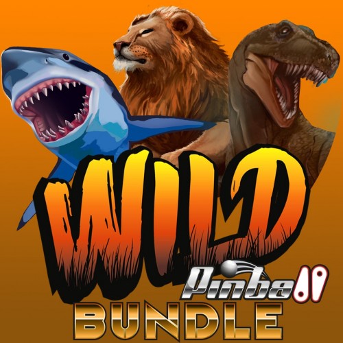 Wild Pinball Bundle PS4 & PS5 (Индия)