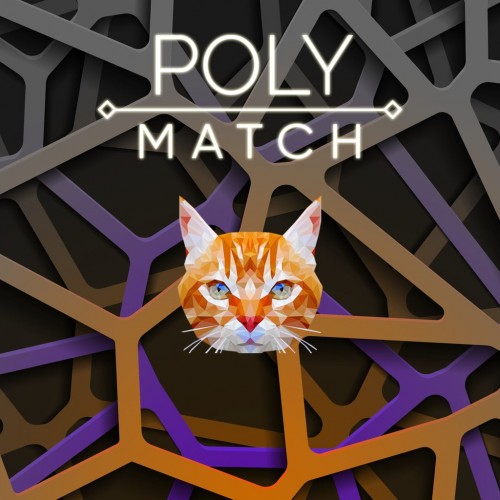 Poly Match PS5 (Индия)