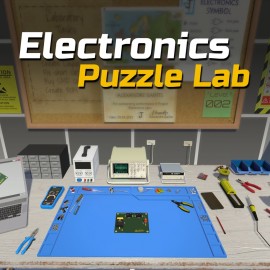 Electronics Puzzle Lab PS4 & PS5 (Индия)