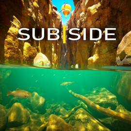 Subside PS5 (Индия)