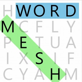 Word Mesh PS4 (Индия)