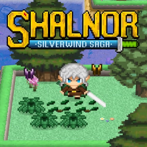 Shalnor: Silverwind Saga PS4 (Индия)