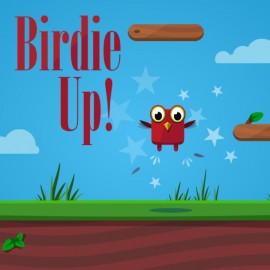 Birdie Up PS4 (Индия)