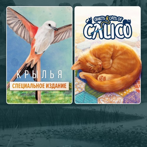 Birds and Cats Special Edition PS5 (Индия)