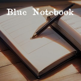 Blue notebook PS4 (Индия)