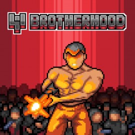 Brotherhood PS4 (Индия)