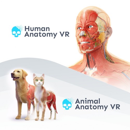 Anatomy VR Bundle PS5 (Индия)