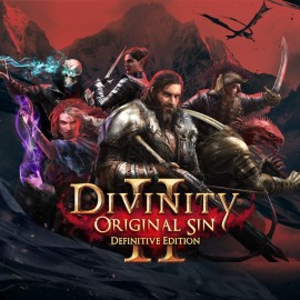 Divinity: Original Sin 2 - Definitive Edition PS4 & PS5 (Индия)